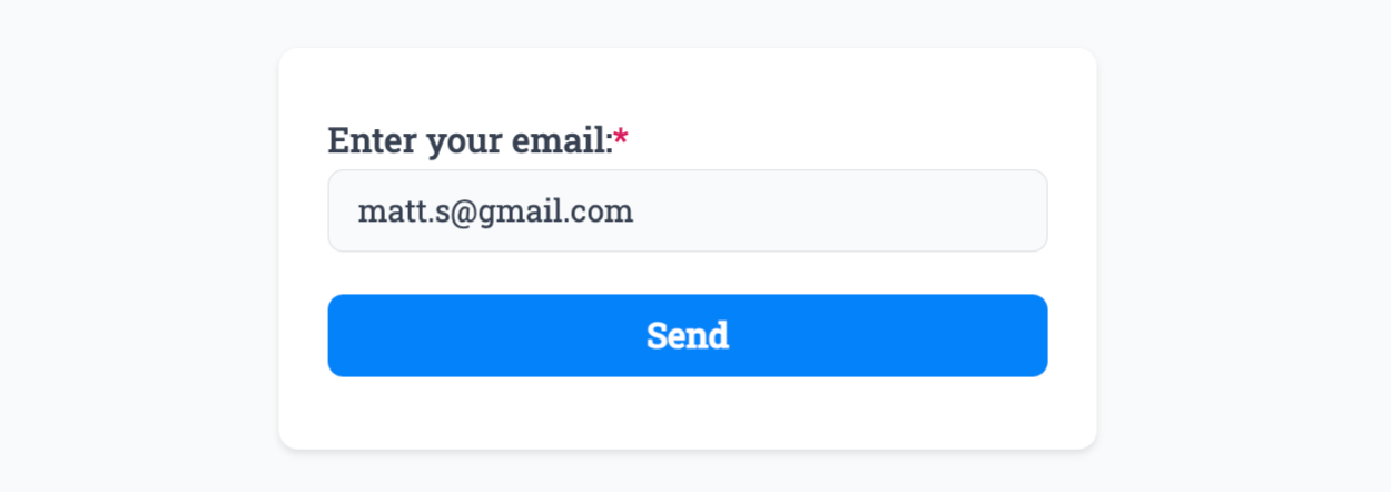 Entering an email into our Mailchimp example form for creating a new subscriber